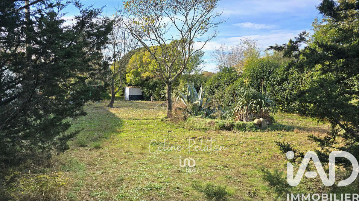 Photo 4 - Terrain à AUBAIS