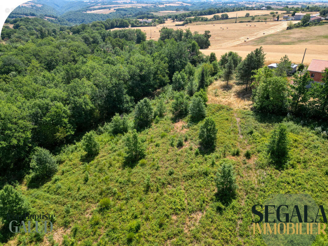 Terrain constructible de 4 526 m2 à Mirandol-Bourgnounac - photo 16