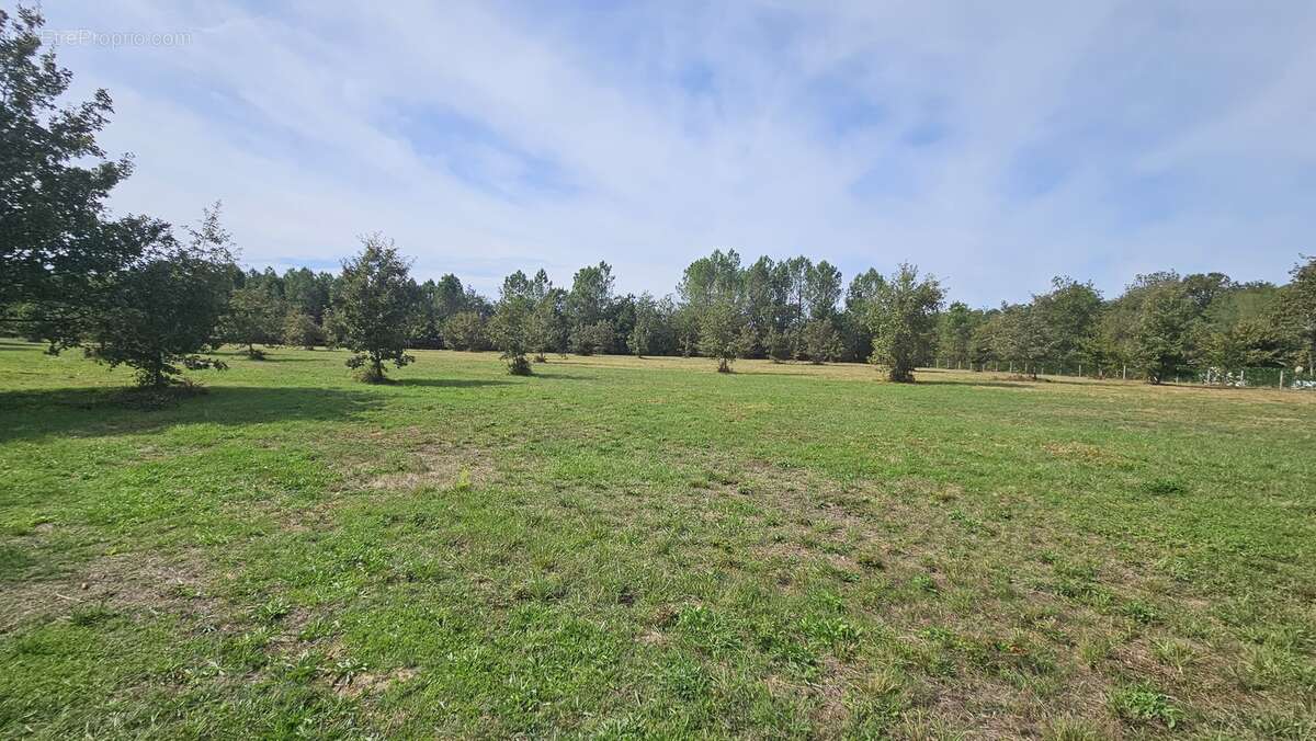 Photo-2023/101042-1-1 - Terrain à CACHEN