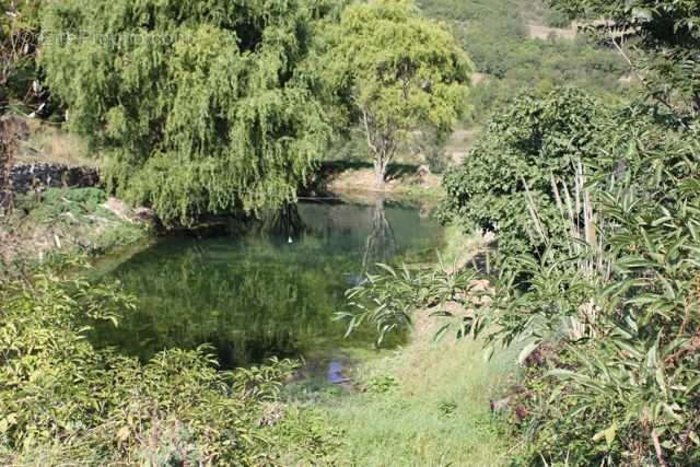 Maison à SAINT-AFFRIQUE