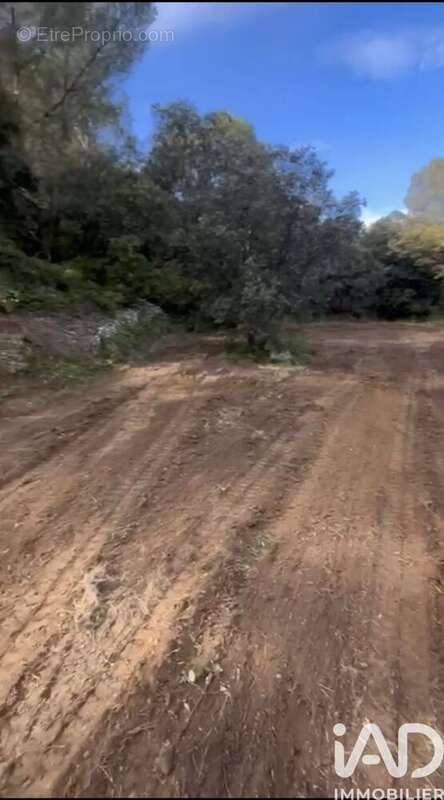 Photo 3 - Terrain à MURVIEL-LES-MONTPELLIER