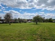 Terrain à COURTACON