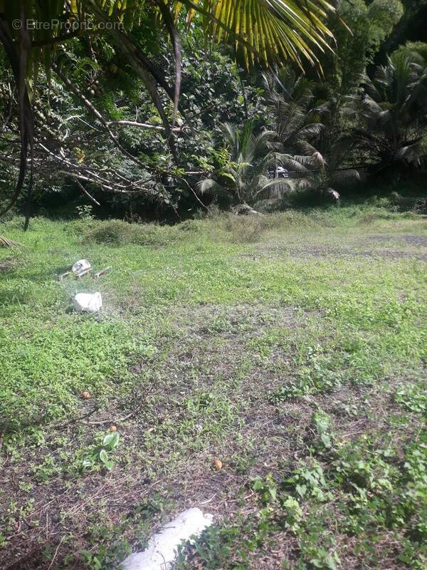 Photo 1 - Terrain à DUCOS