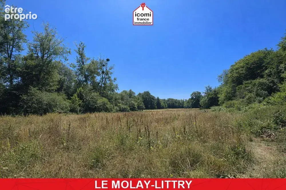 Calvados - le molay-littry (14330) - a vendre - propriete de +350 m² sur +2ha - bief - ecuries et dependances ideal voitures de  - photo 10