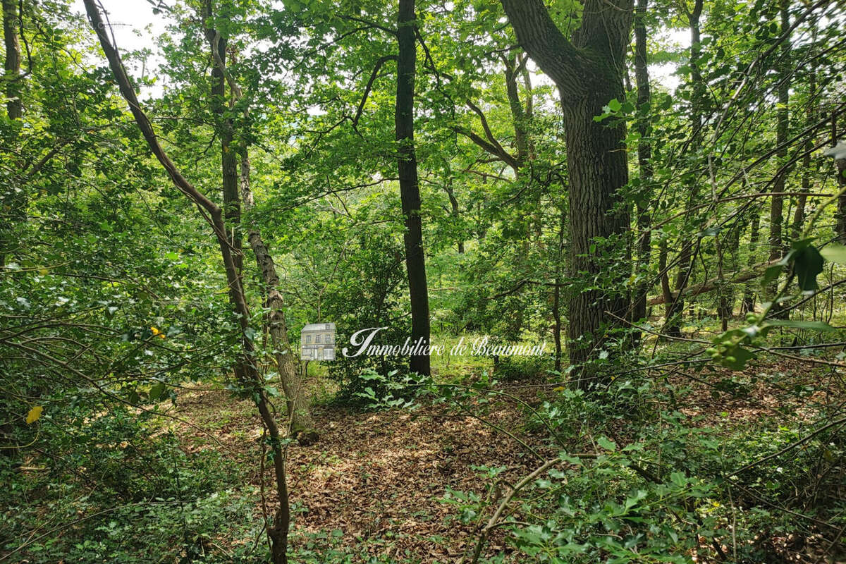 Terrain 8490 m² à Beaumont-Le-Roger  - photo 2
