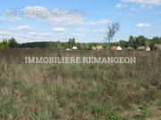 Terrain à CHAUMONT-SUR-THARONNE