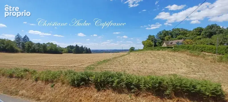Entre Cluny et Charolles, vaste propriété de 250 m², sur terrain de 2 800   m² - photo 4