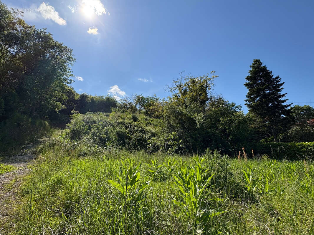 Terrain à AUTERIVE
