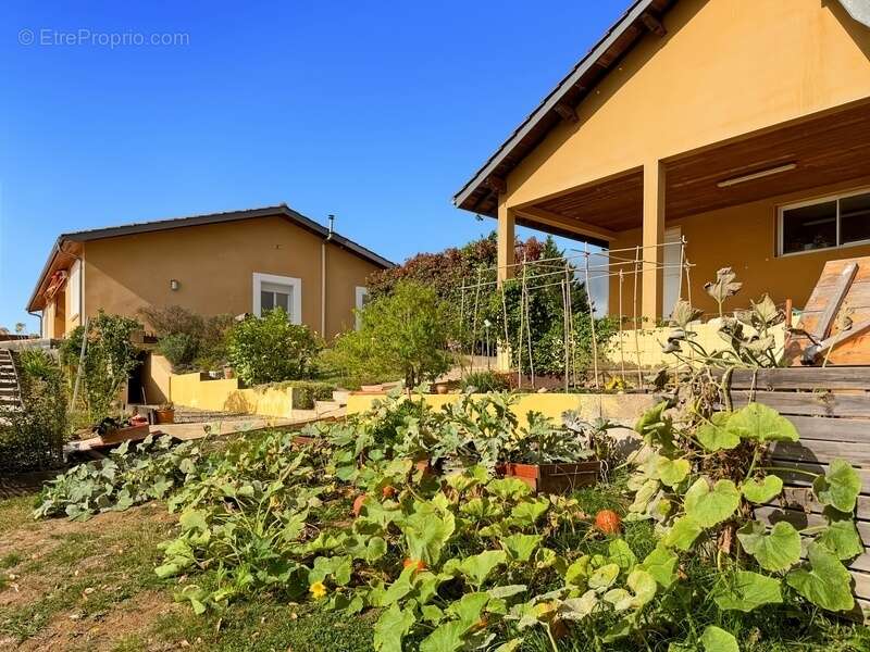 Maison à vendre 4 pièces et studio - LUPIAC (32) - 145 m2 - 2497 m2 de terrain - photo 25