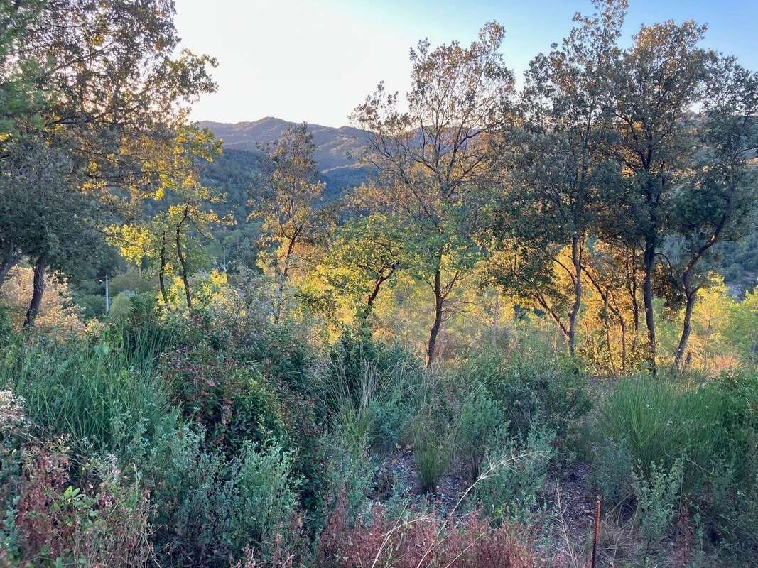 Terrain à LE TIGNET