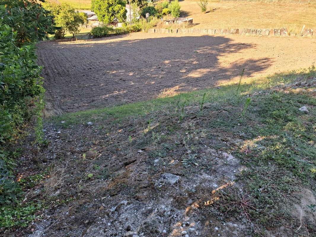 Terrain 1118 m² à Aiguefonde  - photo 3