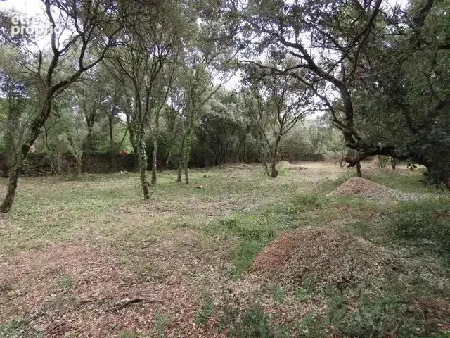 Terrain 2 630 m² à vendre à Uzes (30700) - photo 9