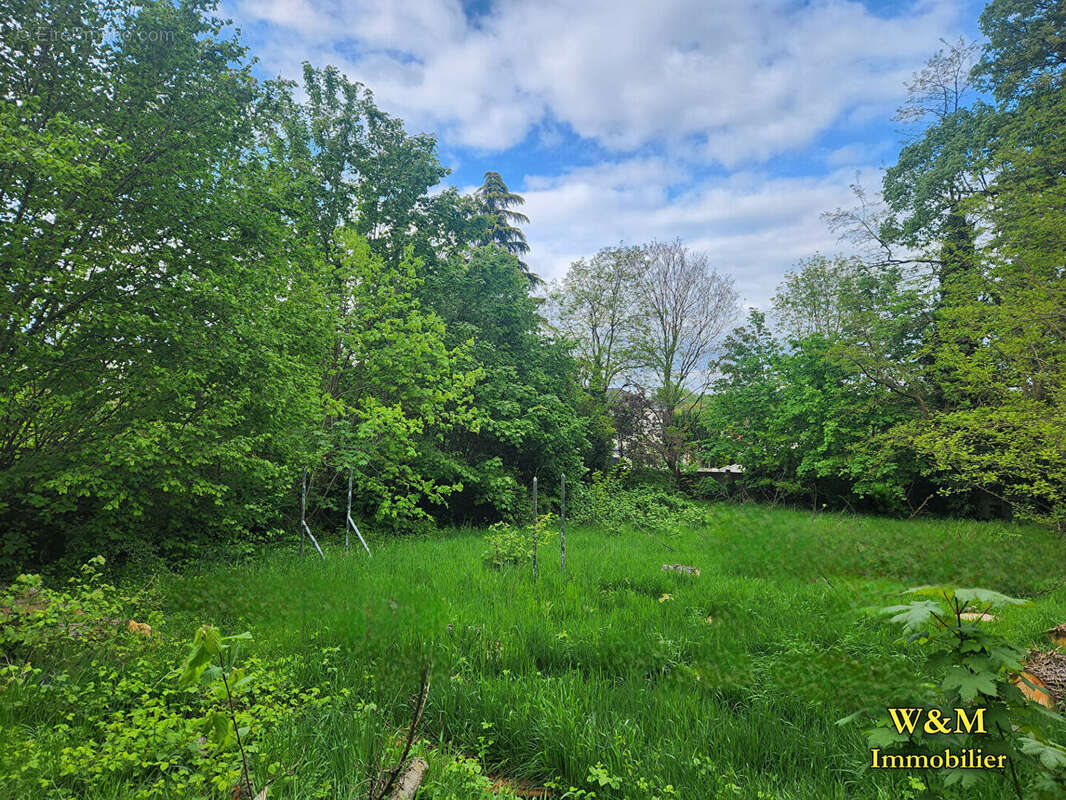 Terrain Ris Orangis 619 m² - photo 3