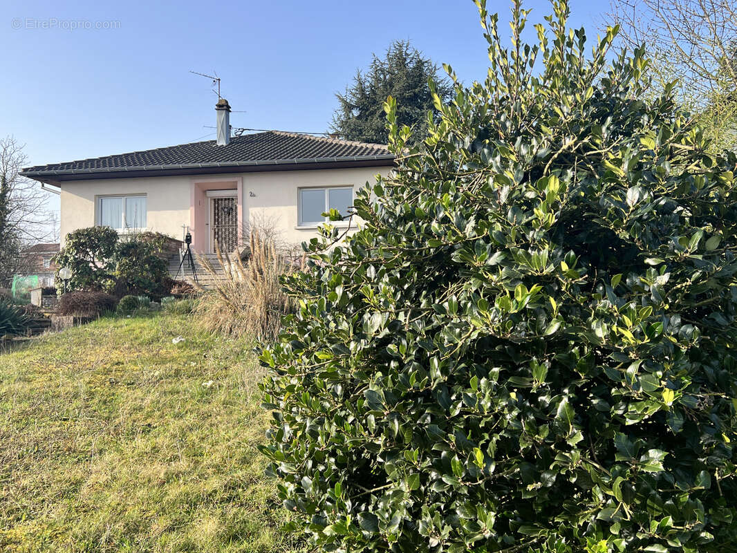 Maison à SAINT-LOUIS