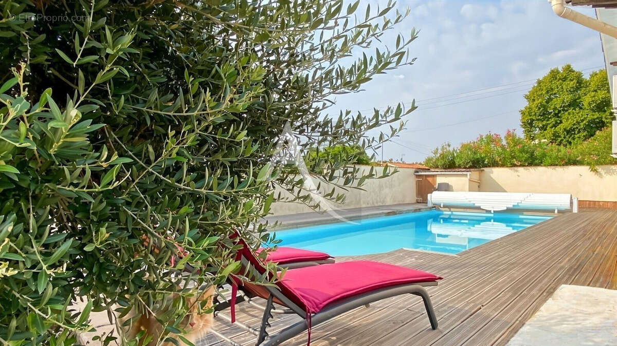 Maison de plain-pied avec piscine et son appartement indépendant - photo 3