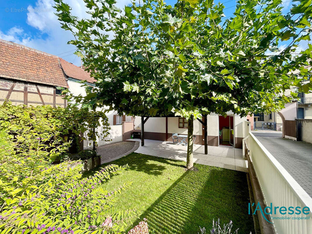 Maison à SAINTE-CROIX-EN-PLAINE