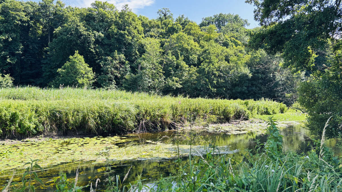Terrain à CHATEAUDUN