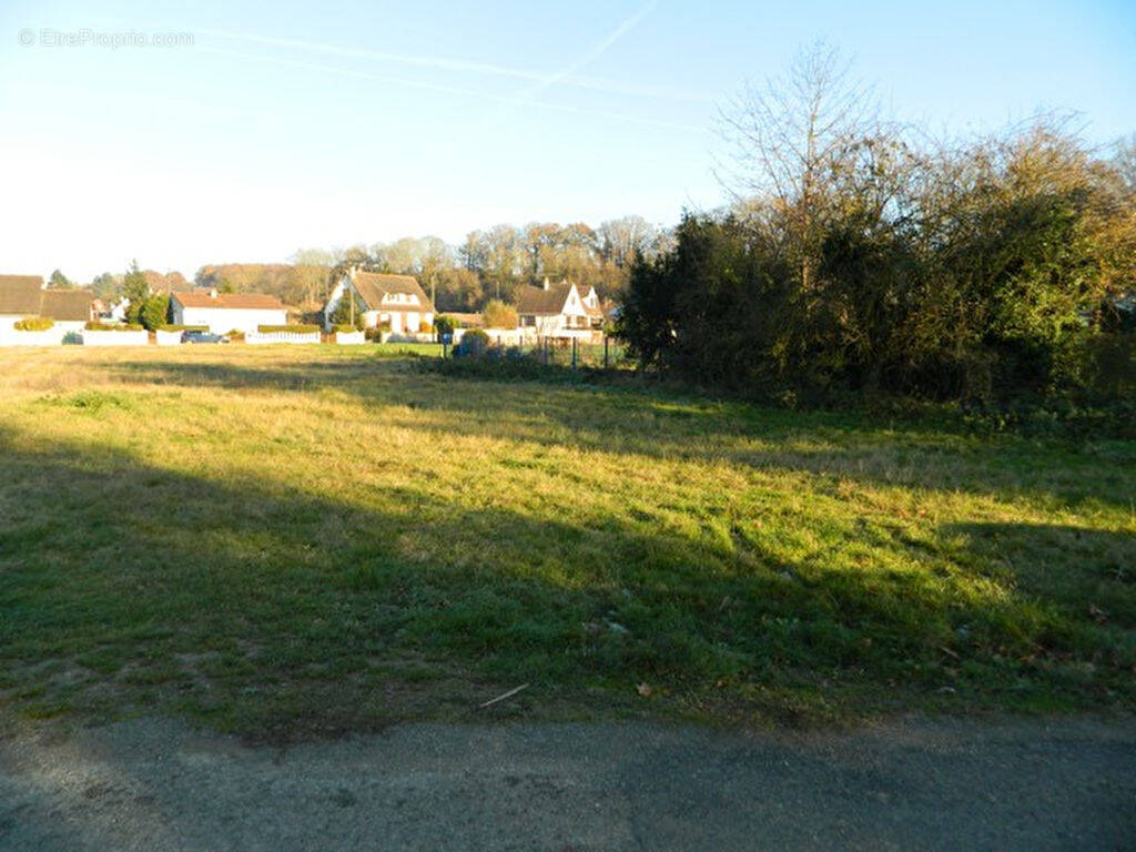 Terrain à NOGENT-LE-ROI
