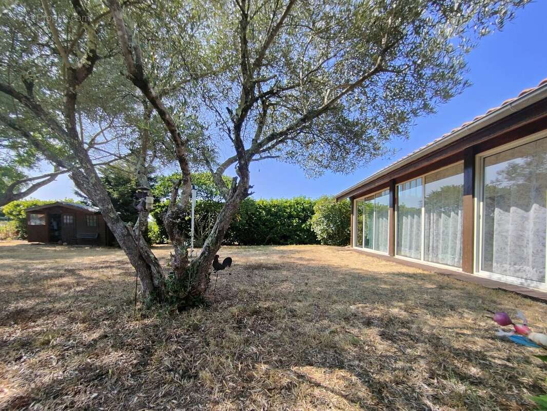 CASTRES GIRONDE, Maison de 154 m² sur 900 m² de terrain - photo 3