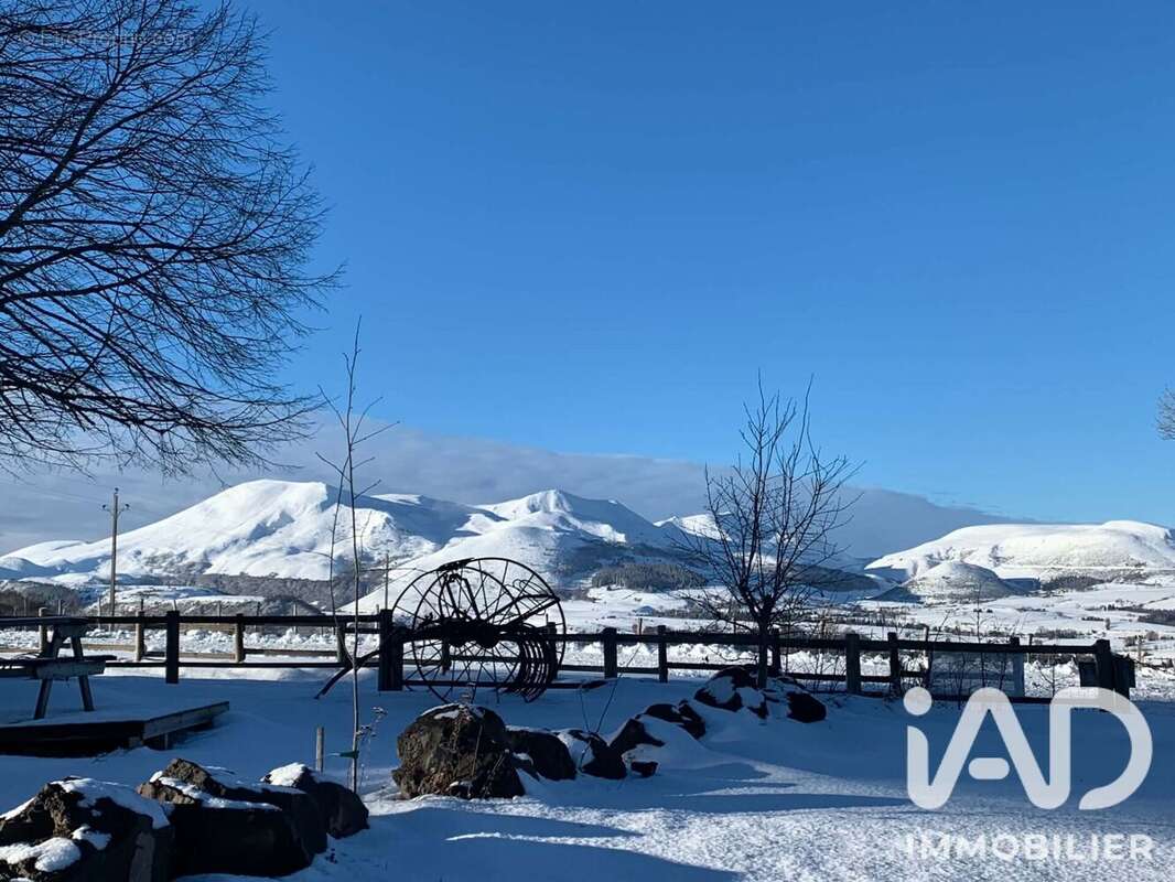 Commerce 484 m² à Saint-Victor-La-Riviere  - photo 3