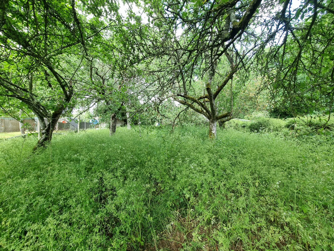 Terrain à NOGENT-LE-PHAYE