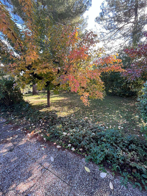 Maison à BOUC-BEL-AIR