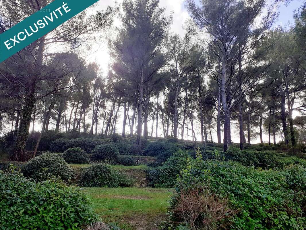 Photo 2 - Maison à ROQUEVAIRE