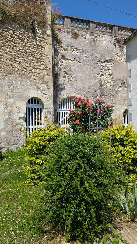 Maison à NOIZAY