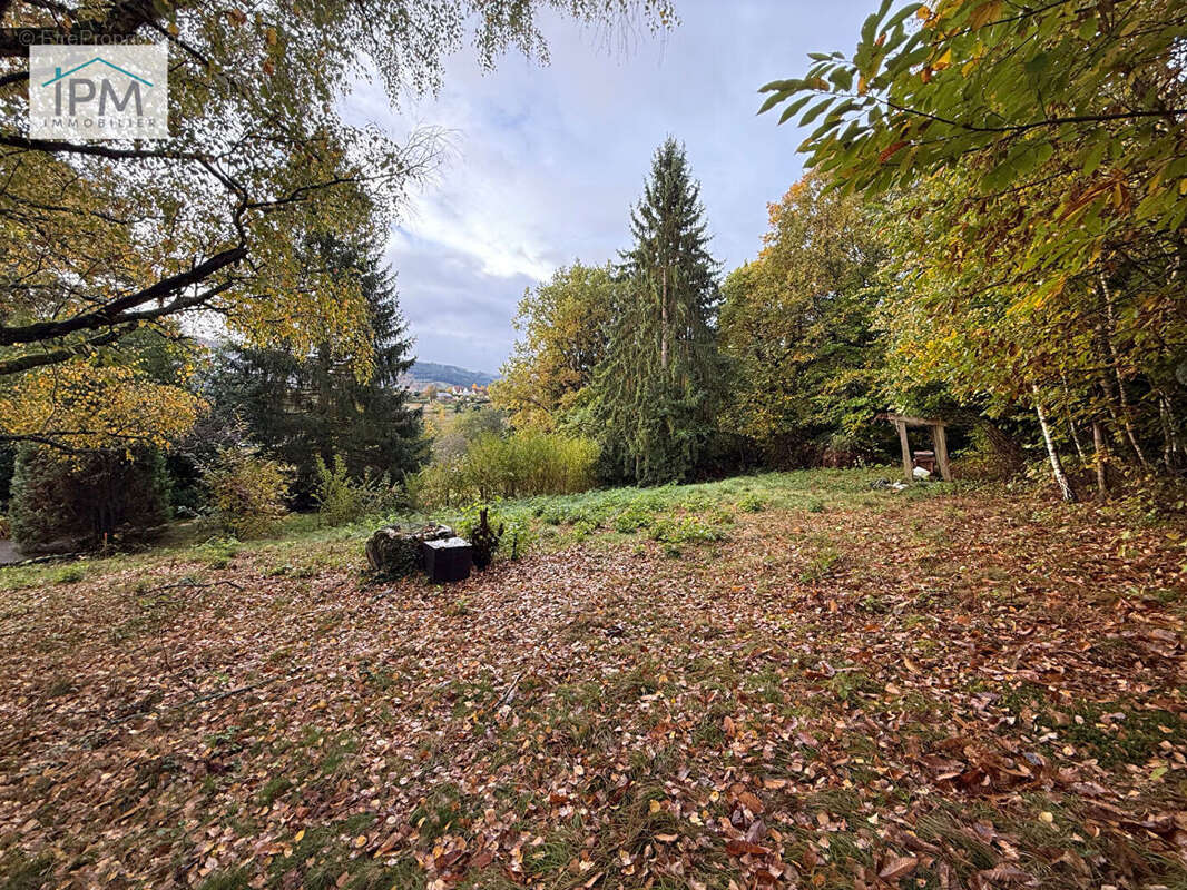 Terrain à LUTZELHOUSE