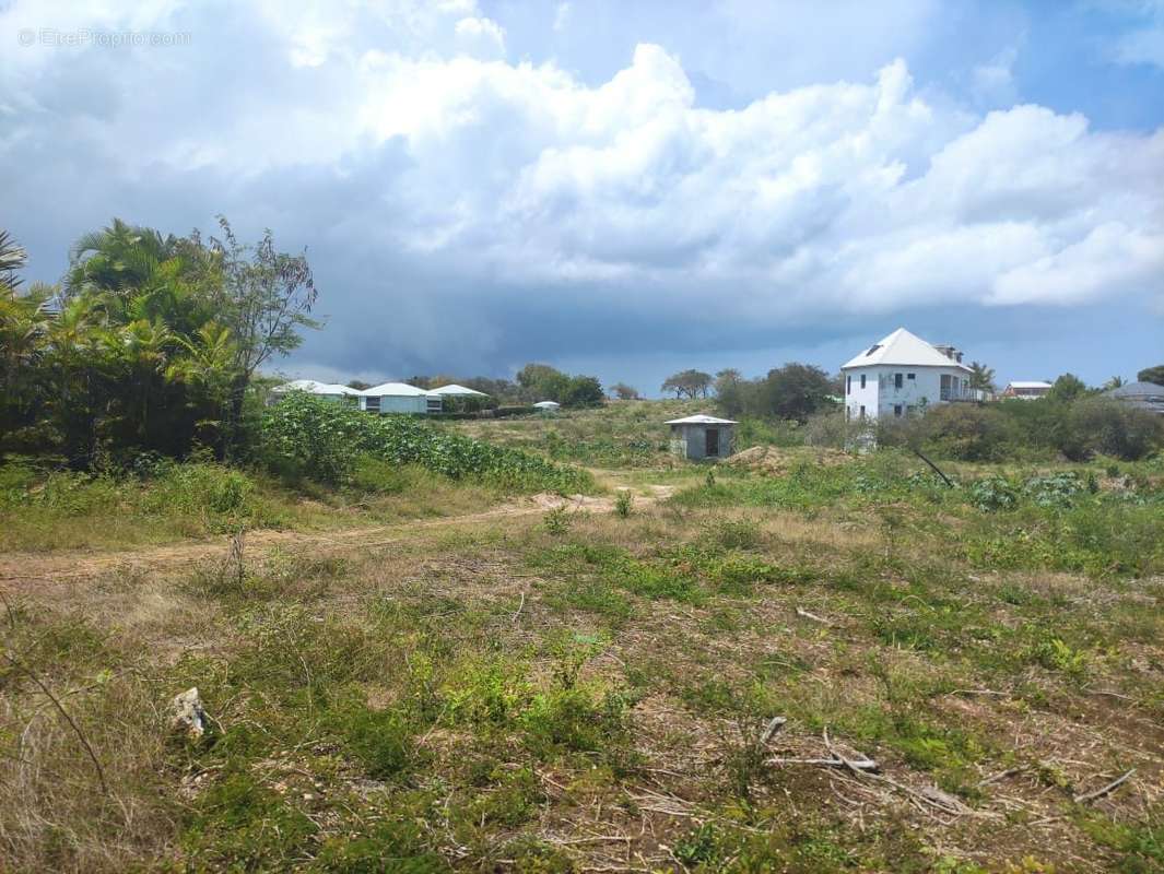 TERRAIN A VENDRE  - Terrain à SAINTE-ANNE