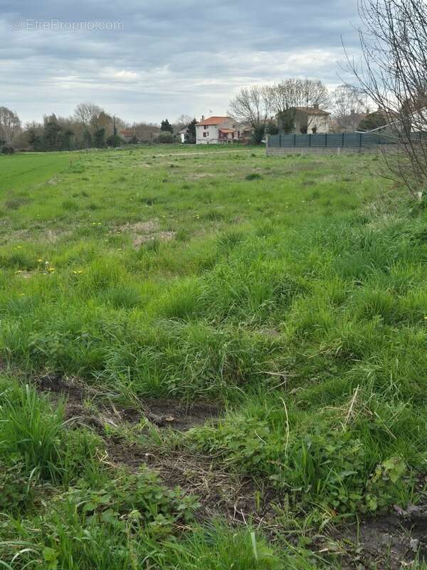 Terrain à FRONTENAY-ROHAN-ROHAN
