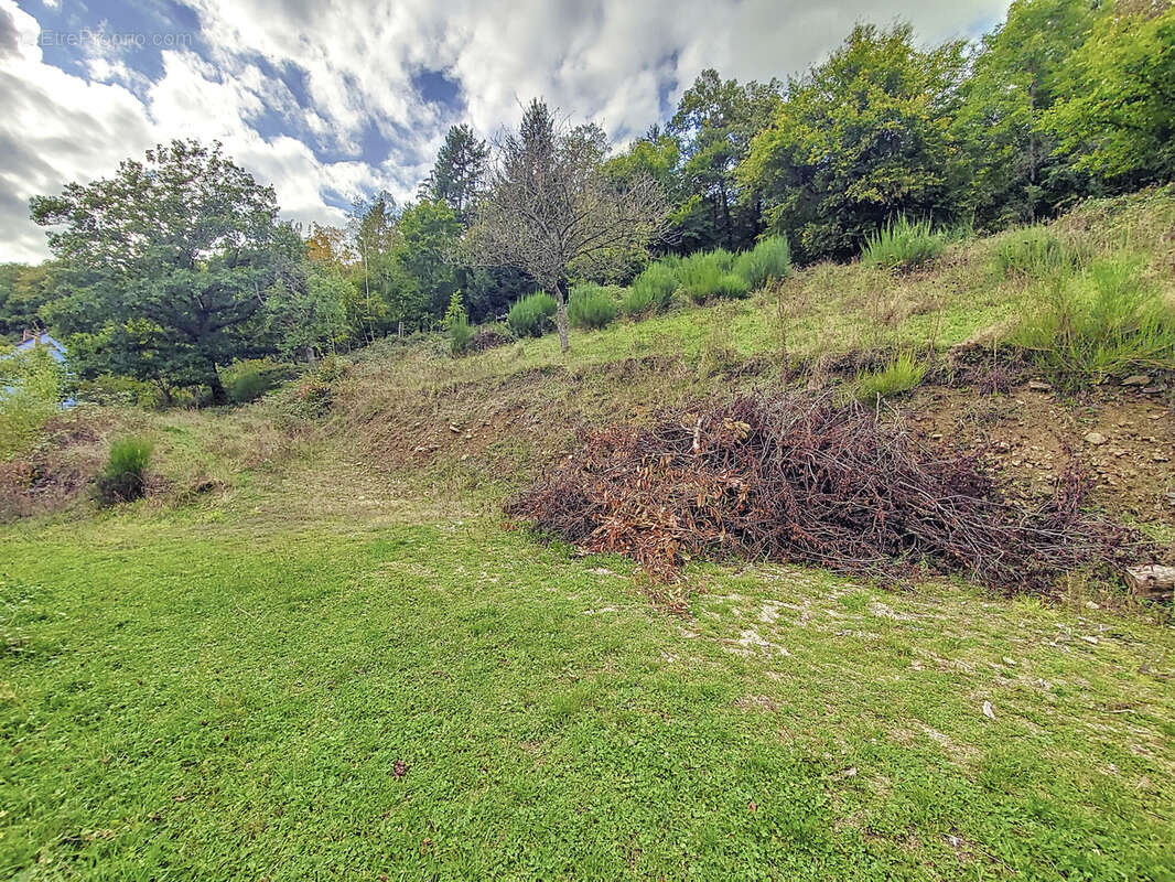 Terrain de 14.29 constructibles, semi viabilisé et forêt de 10.81 ares - photo 3