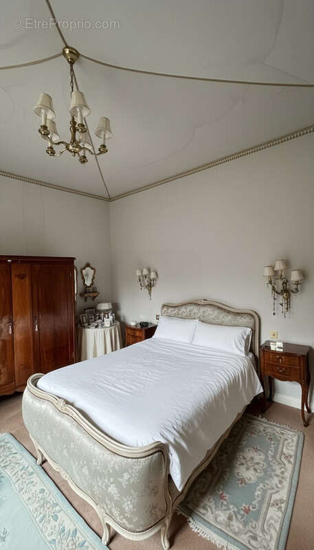 Maison 280 m² à Bellerive-Sur-Allier  - photo 6