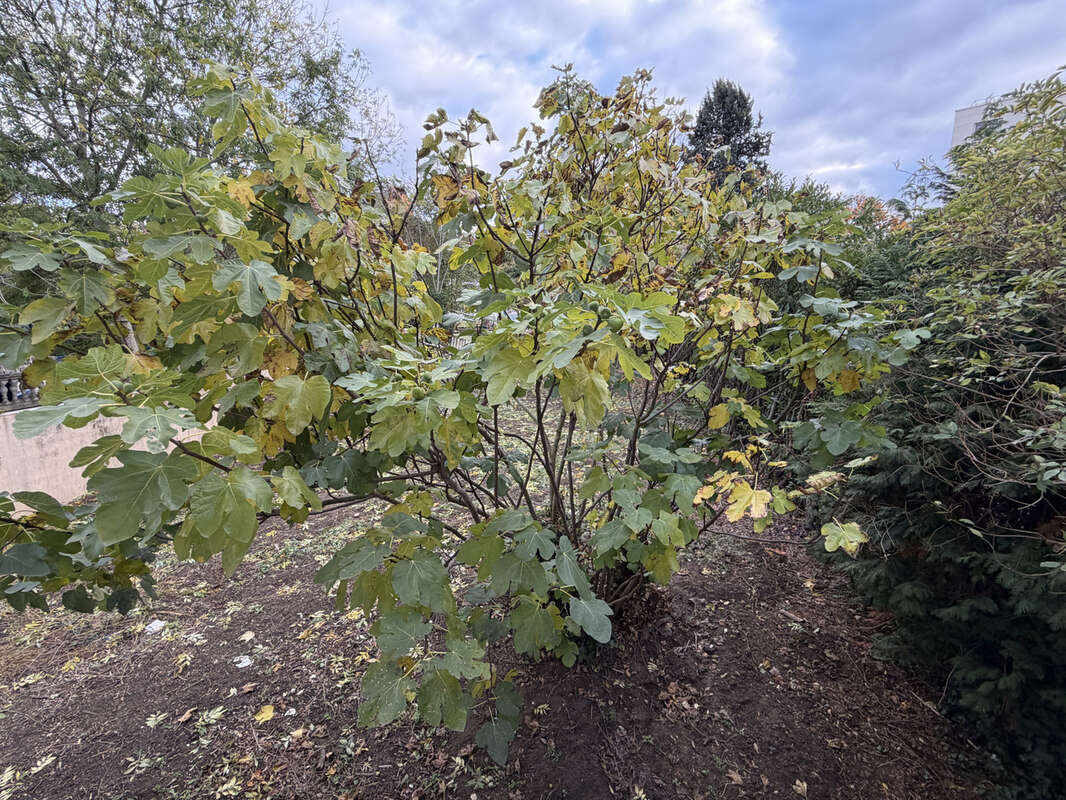 Maison à LIMEIL-BREVANNES