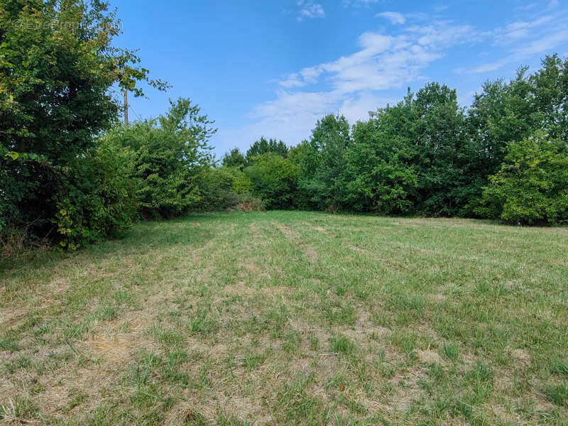 Terrain à SAUZE-VAUSSAIS