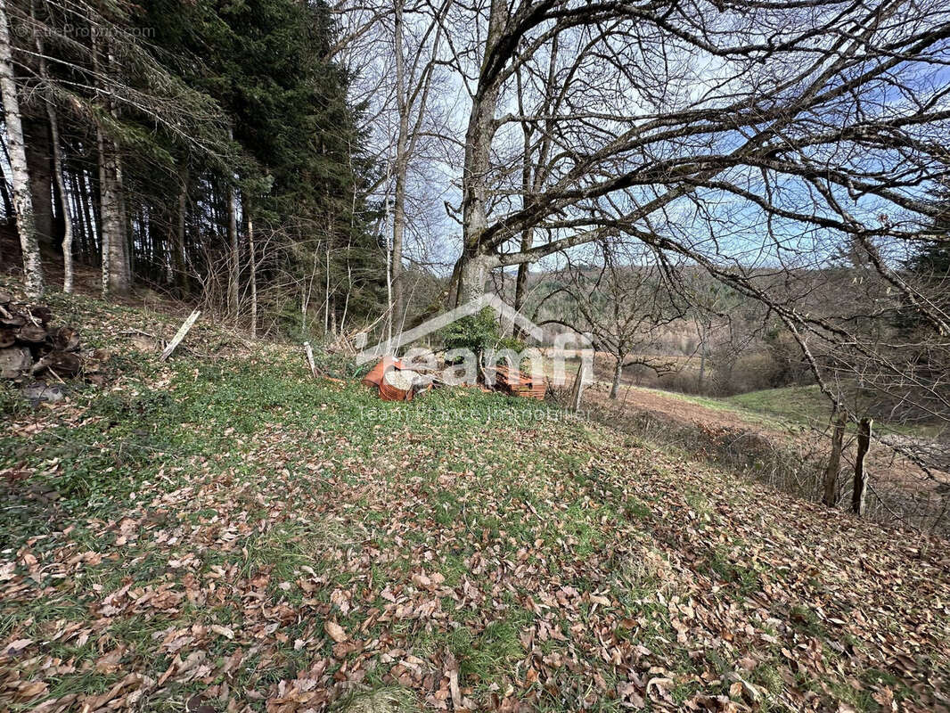 Maison 121 m² à Palladuc  - photo 5