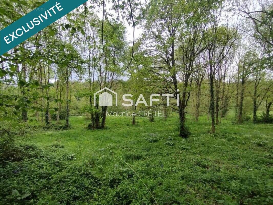Photo 1 - Terrain à MONTAIGU