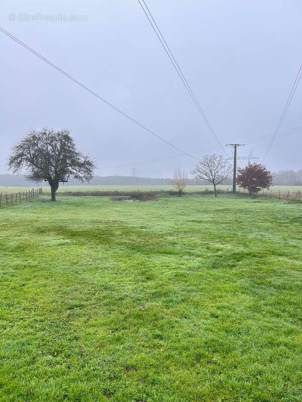 Maison à SERRIGNY-EN-BRESSE