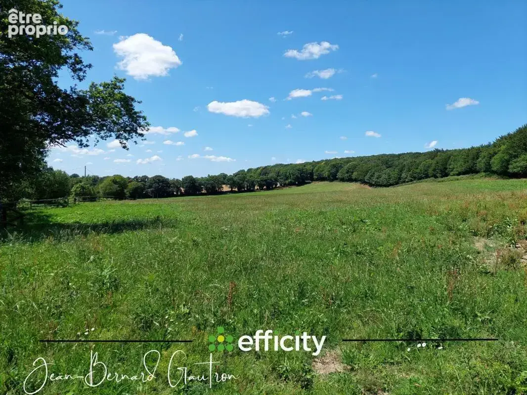 Propriété équestre - photo 22