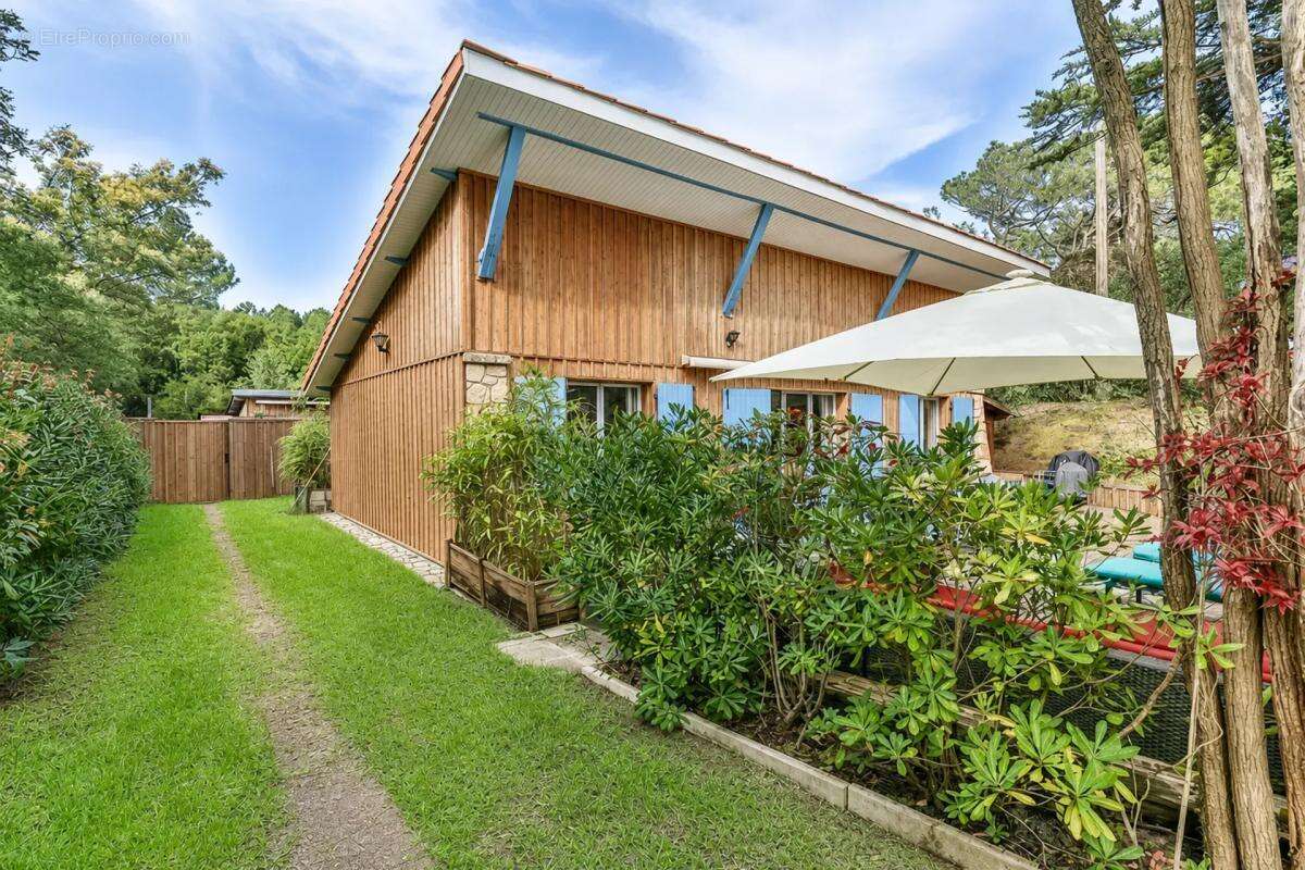 Villa exceptionnelle au Cap Ferret, proche océan - photo 9