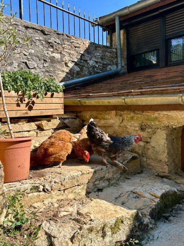 A vendre, en exclusivité, superbe périgourdine en pierre au coeur du Périgord vert - photo 2