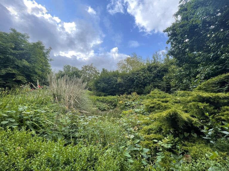 Maison à LOTTINGHEN