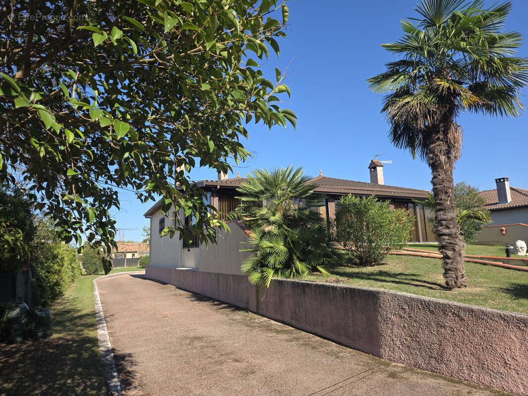 Maison à CASTELGINEST