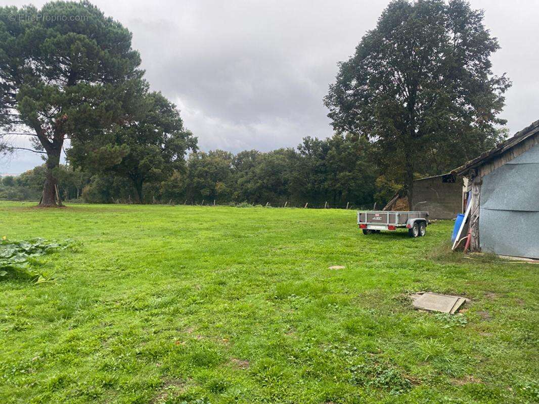 Maison à PALLUAU-SUR-INDRE