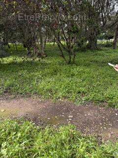 Terrain à BONIFACIO