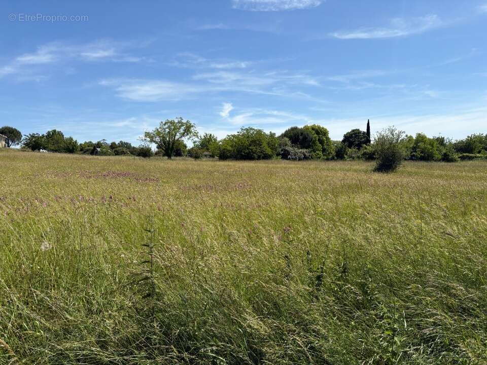 Terrain à MONTPITOL
