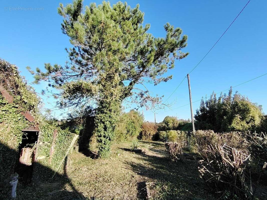 Photo 6 - Maison à CHATRES