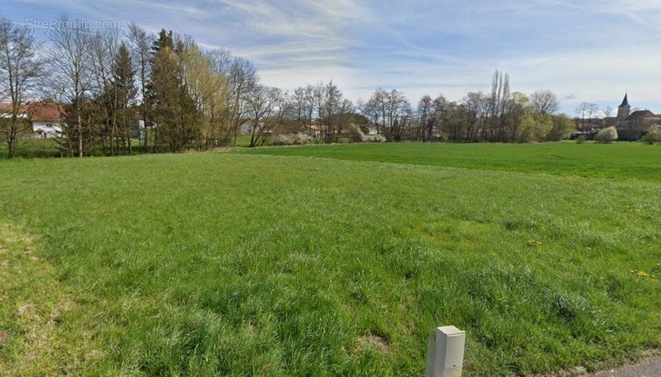 Terrain à TRAUBACH-LE-HAUT