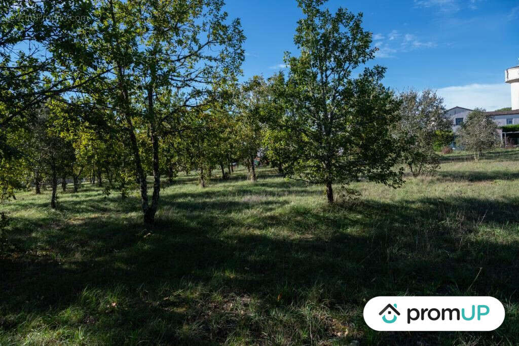 Terrain à LALBENQUE