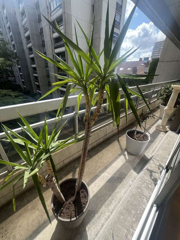 Photo 3 - Appartement à PARIS-19E